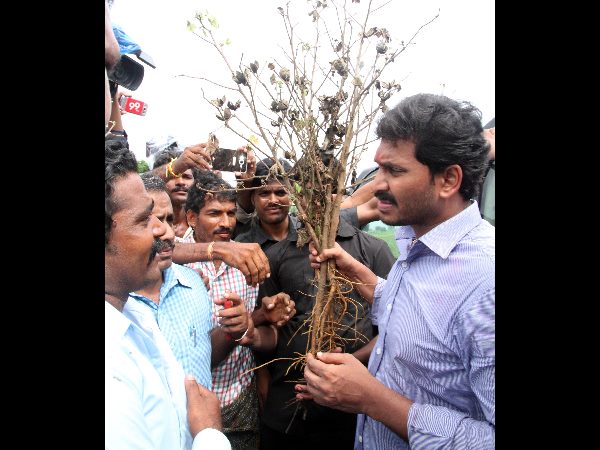  బంగారం తాకట్టు పెట్టి 