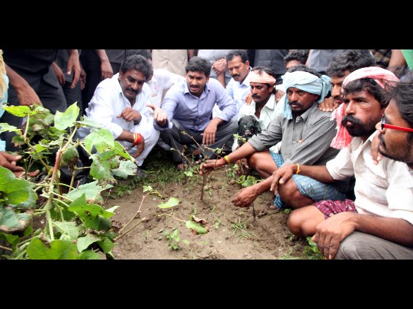  ఎన్నో ఇబ్బందులుపడి పంటలను కాపాడుకున్నారు