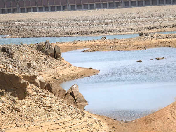 Tamil Nadu files contempt plea in SC against Karnataka