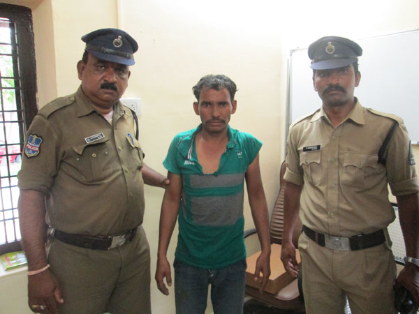 Court sent jail man, who drunk and jumps into lion cage in Hyderabad