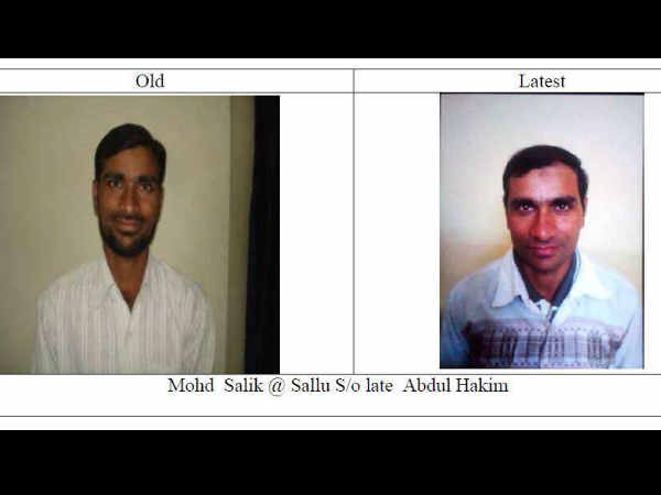 హైలర్ట్