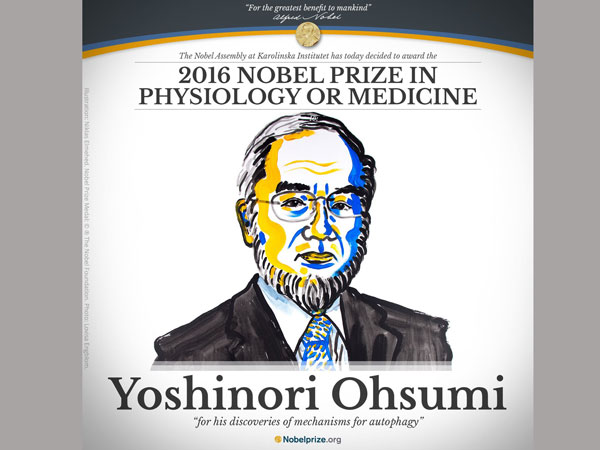Nobel Prize in Medicine awarded to Yoshinori Ohsumi Nobel Prize in Medicine awarded to Yoshinori Ohsumi