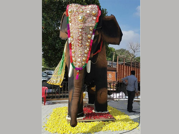 పట్టించుకోలేదు