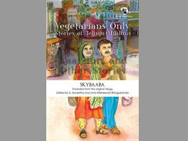 స్కై సర్కస్ ఫీట్లు చేయలేదు