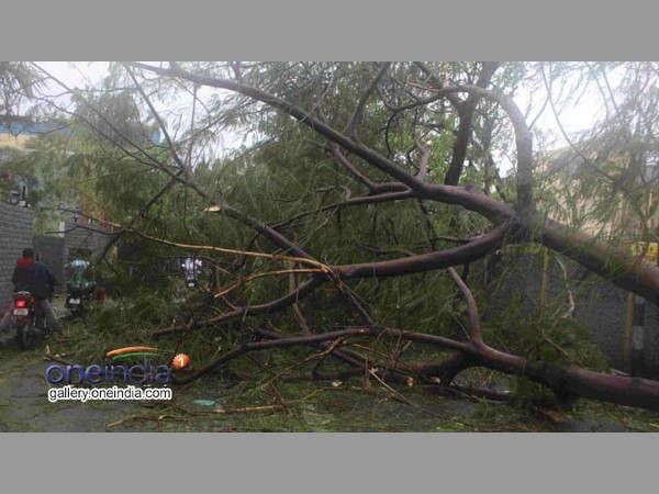 భయానక వాతావరణం