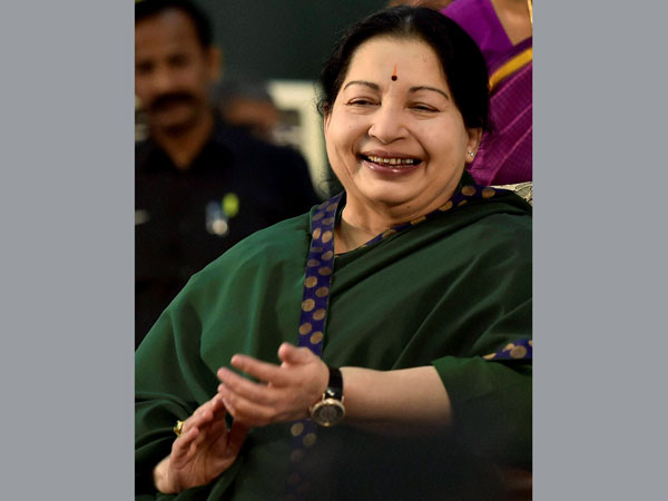 చిన్నమ్మకు ఎనభై శాతం షేర్లు