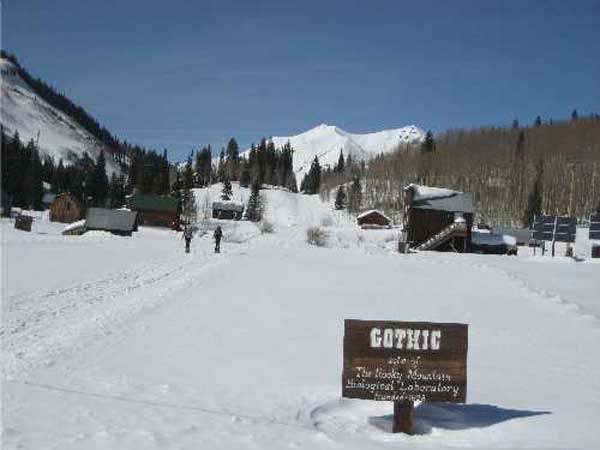 దెయ్యాల ఊరిలో...