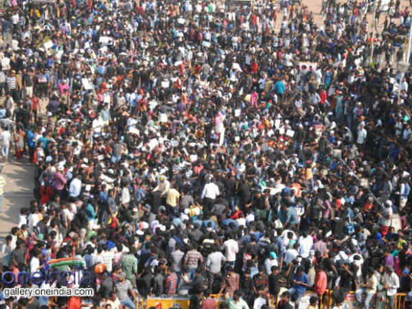 జల్లికట్టు కోసం అందరూ..