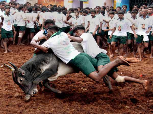 ప్రత్యేక ఆర్డినెన్స్ తేవాలని తమిళనాడు పట్టు