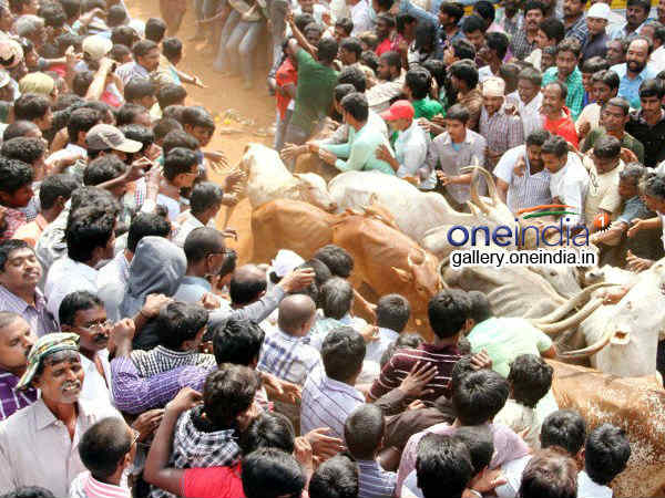 టెర్రరిజం కన్నా ఘోరం..