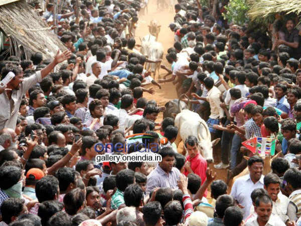 అలా అయితే మద్దతు తెలిపేవారు కాదేమో..
