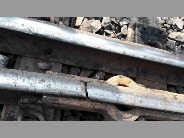 శవాలను వదిలేసి వెళ్లిపోయారు...