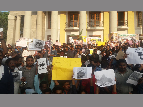 Jallikattu: Pro-tamil organisations protest at town hall in Bengaluru. Jallikattu: Pro-tamil organisations protest at town hall in Bengaluru.