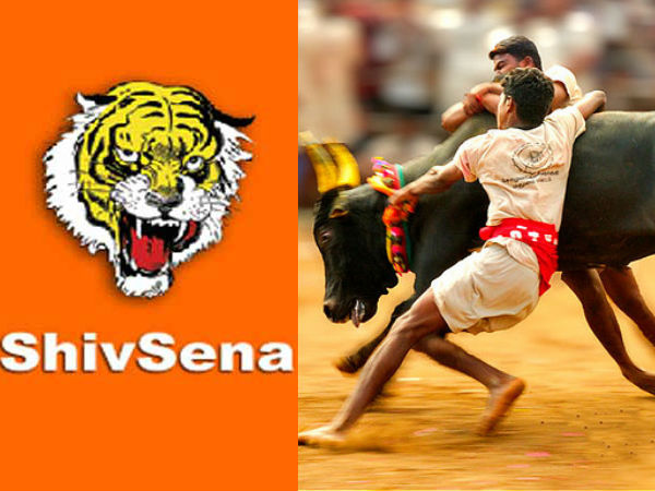 Shiva Sena threatens to stage protest against ban on bullock cart race in Maharashtra Shiva Sena threatens to stage protest against ban on bullock cart race in Maharashtra