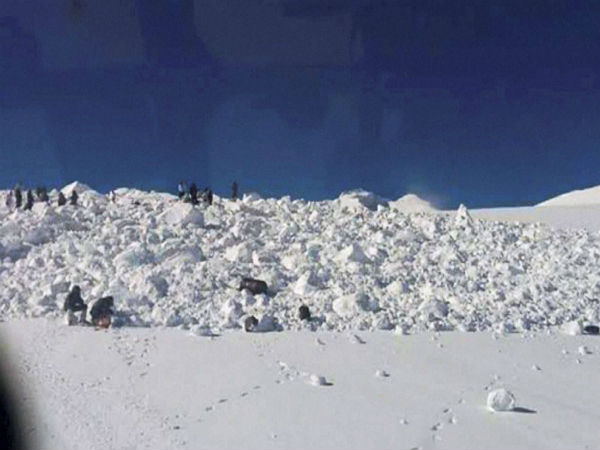 Gurez (J&K) avalanches: Death toll rises to 14; missing bodies of 4 jawans recovered Gurez (J&K) avalanches: Death toll rises to 14; missing bodies of 4 jawans recovered
