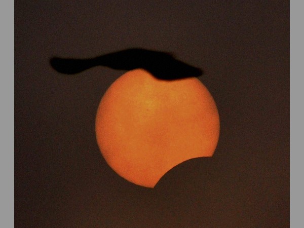 శాస్త్రవేత్తల పరిశోధనలకు పండగే శాస్త్రవేత్తల పరిశోధనలకు పండగే