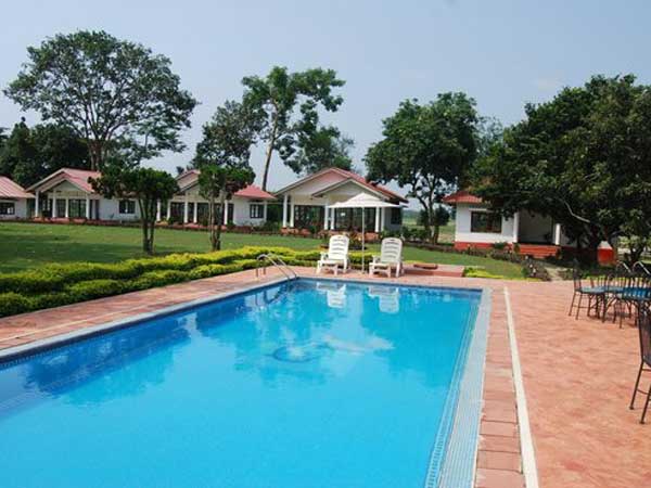  ఇలా కాజీరంగా వన్యప్రాణి సంరక్షణ కేంద్రంలో..