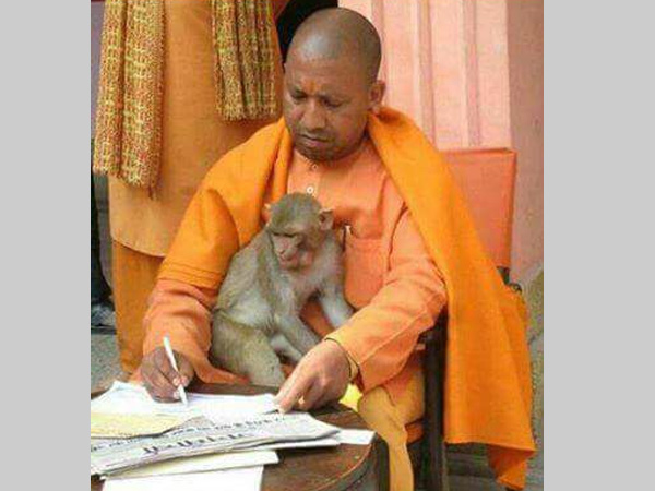 తన మార్క్ పాలన