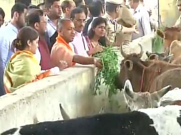 గతంలోనూ..