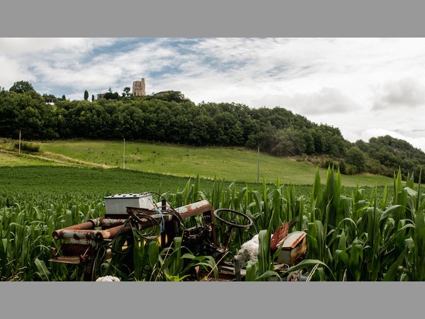 వ్యవసాయం వాటా 15%