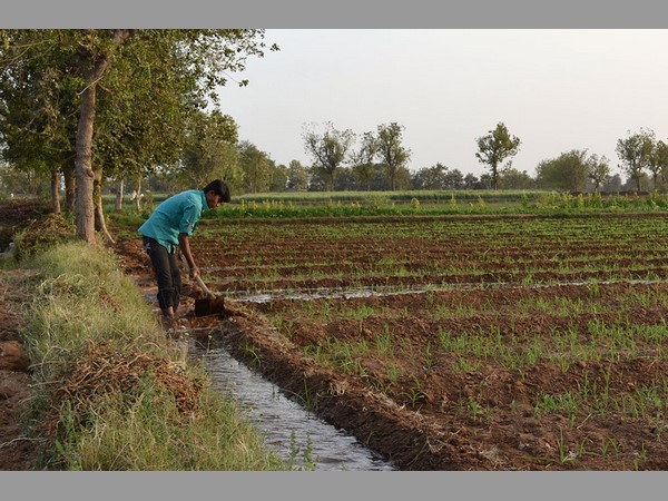 రుణ మాఫీ పరిష్కారం కాదంటున్న నిపుణులు