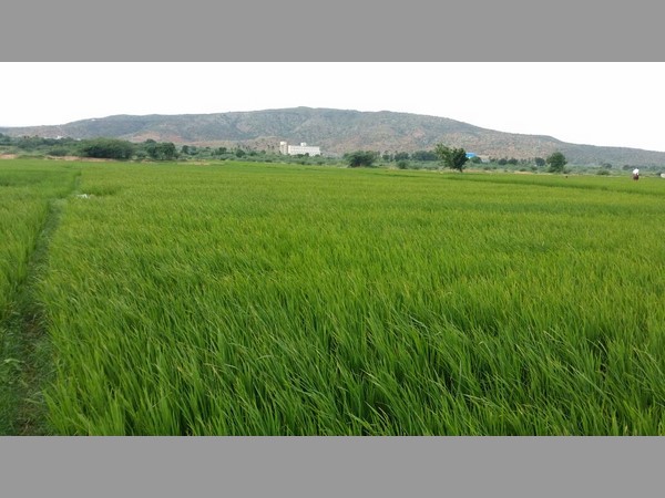 నాణ్యత తగ్గుతుందేమోనన్న ఆందోళన