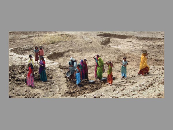 దొంగ జాబ్‌కార్డు నంబర్లు