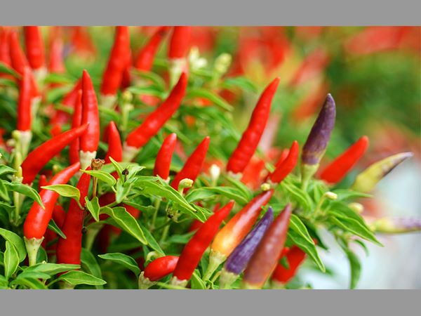 అంతా అయిపోయాక స్పందిస్తారా?