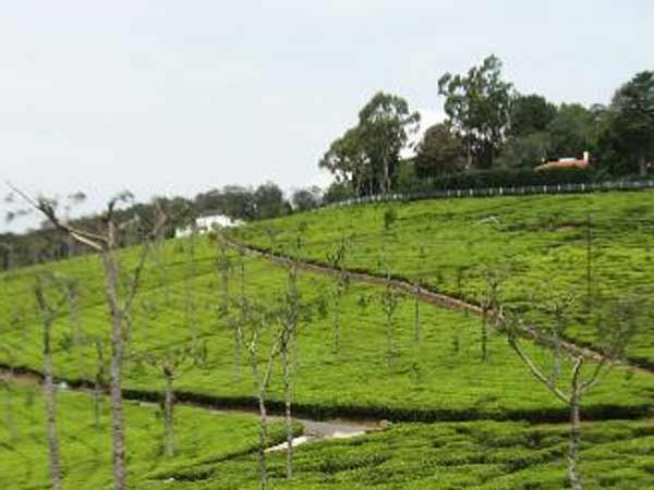 రెండు జీపుల్లో వచ్చారని రెండు జీపుల్లో వచ్చారని