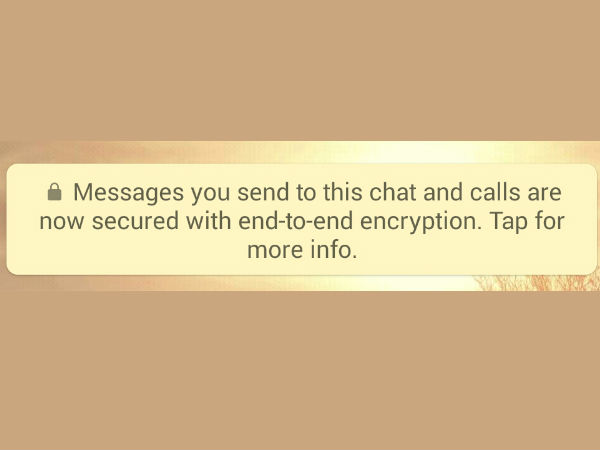 ఇప్పటికి దినకరన్ సేఫ్, చిక్కితే అంతే