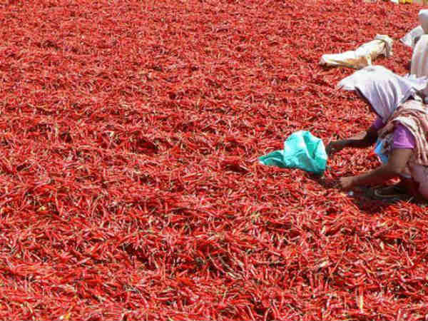 మిర్చి రైతుల అంశంపై..