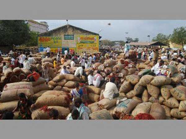 మార్కెట్ మాయాజాలంలో రైతుకు మిగిలిన ఆక్రందన