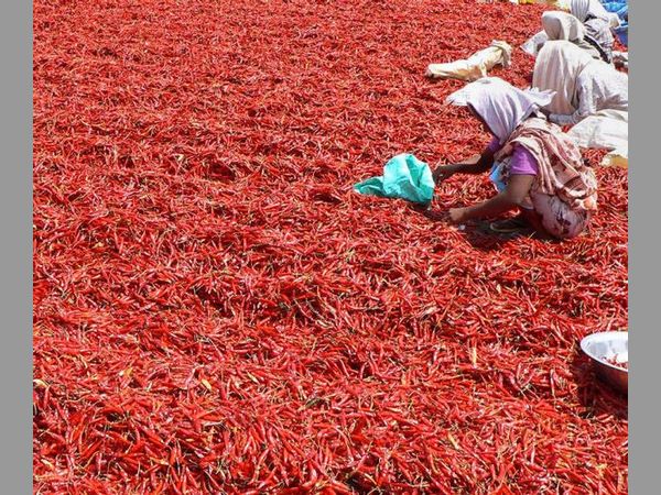 మార్కెట్కు రైతుల రాకే నేరమా? మార్కెట్కు రైతుల రాకే నేరమా?