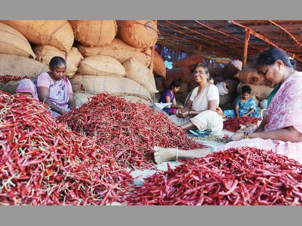 ఇంత వేడిలోను...