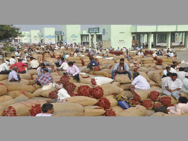 కోల్డ్ స్టోరేజీలు లేక తెగనమ్ముకోవాల్సిందేనా?