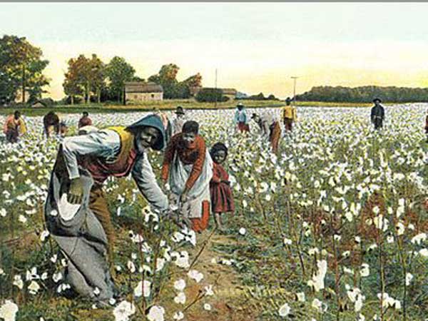 పెట్టుబడులకు కౌలు రైతుల అవస్థలిలా