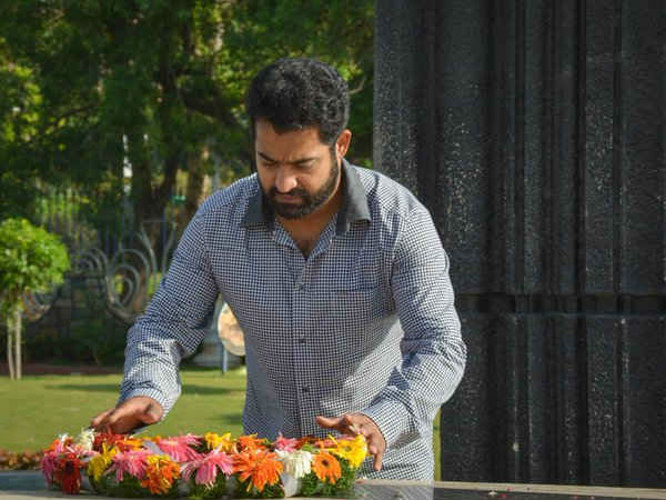 టీడీపీకి ఎన్టీఆర్ అదనపు బలం 