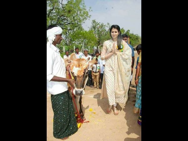 వేడుకల్లో..