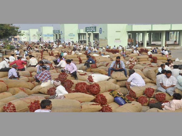 ఏడాదిలో 50 శాతం పెరిగిన సాగు