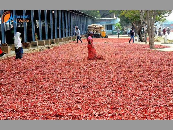 సుగంధ ద్రవ్యాల మండలి సిఫారసులివి