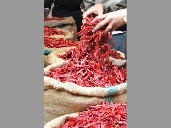 పత్తి సాగు భారీగా పెరిగే ఛాన్స్