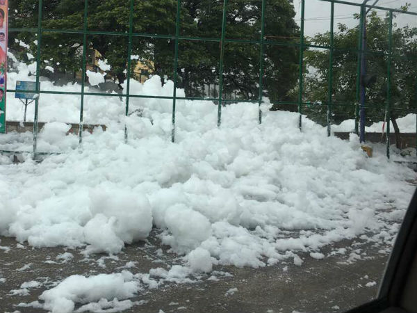 ప్రభుత్వం చర్యలు శూన్యం