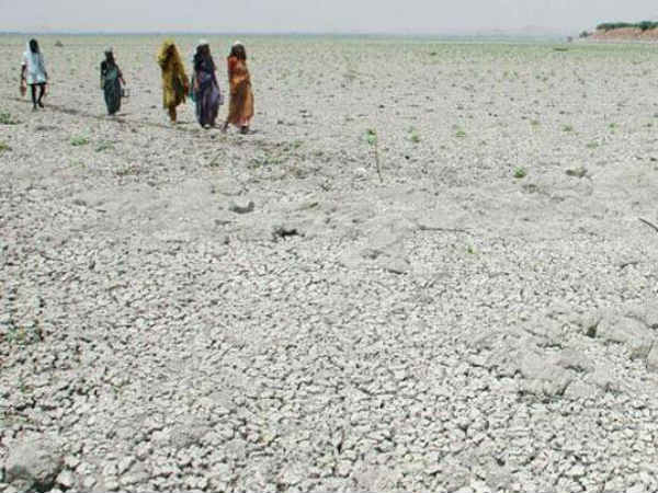 Drought triggers large scale migration from Anantapur