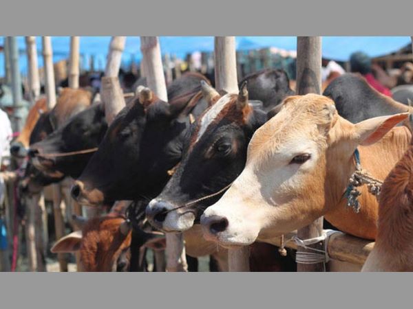 ఐక్యం కావాలని కేరళ సీఎం విజయన్ పిలుపు