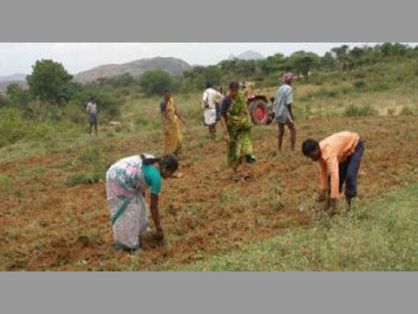 ప్రభుత్వ నిబంధనలు ఇలా అవరోధం
