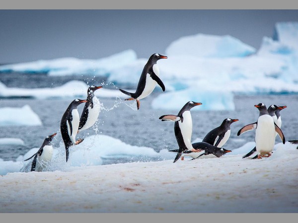 గ్రేసియర్ల కరుగుదలతో మరింత ముప్పు