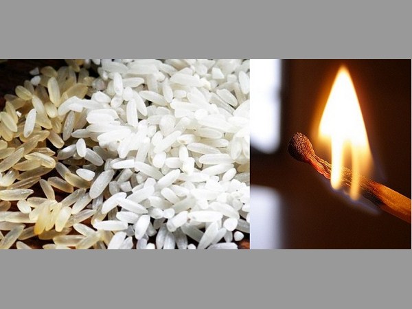 ఫైర్ టెస్ట్;