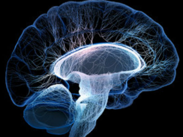 బ్రెయిన్ డెడ్ కు గురైన వారిని...