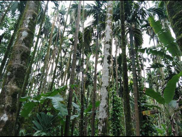 మిమ్మల్ని సీఎం చేసింది ఎవరు ?