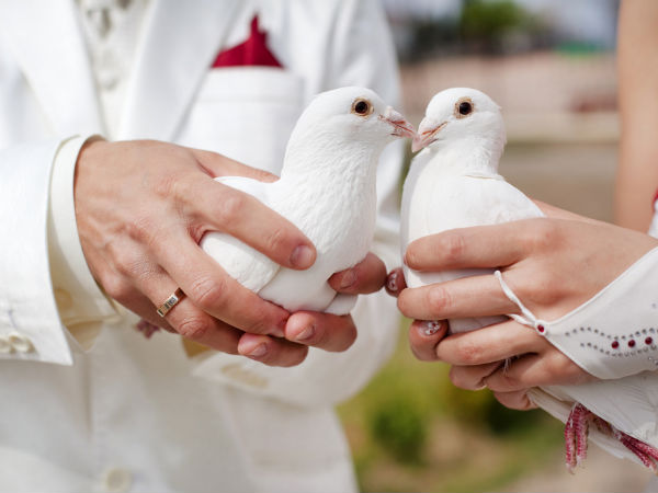 పెట్రోల్, కిరోసిన్ చల్లి